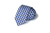 Royal Blue Gingham Necktie - Youth